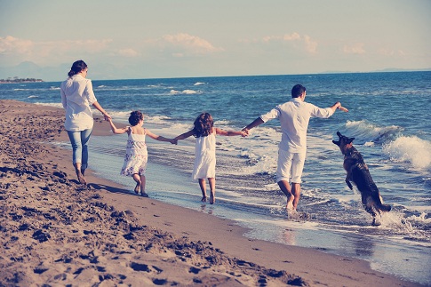 摄图网_300109440_banner_穿着白色衣服的快乐的轻家庭美丽的海滩度假时漂亮的狗玩（企业商用）.jpg