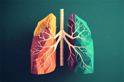 1695254188671102.jpg 摄图网_600071782_banner_肺的艺术化插画(企业商用).jpg