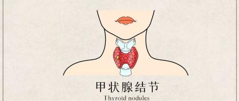 1755669764103616.jpg 微信图片_20250820135556(1).jpg