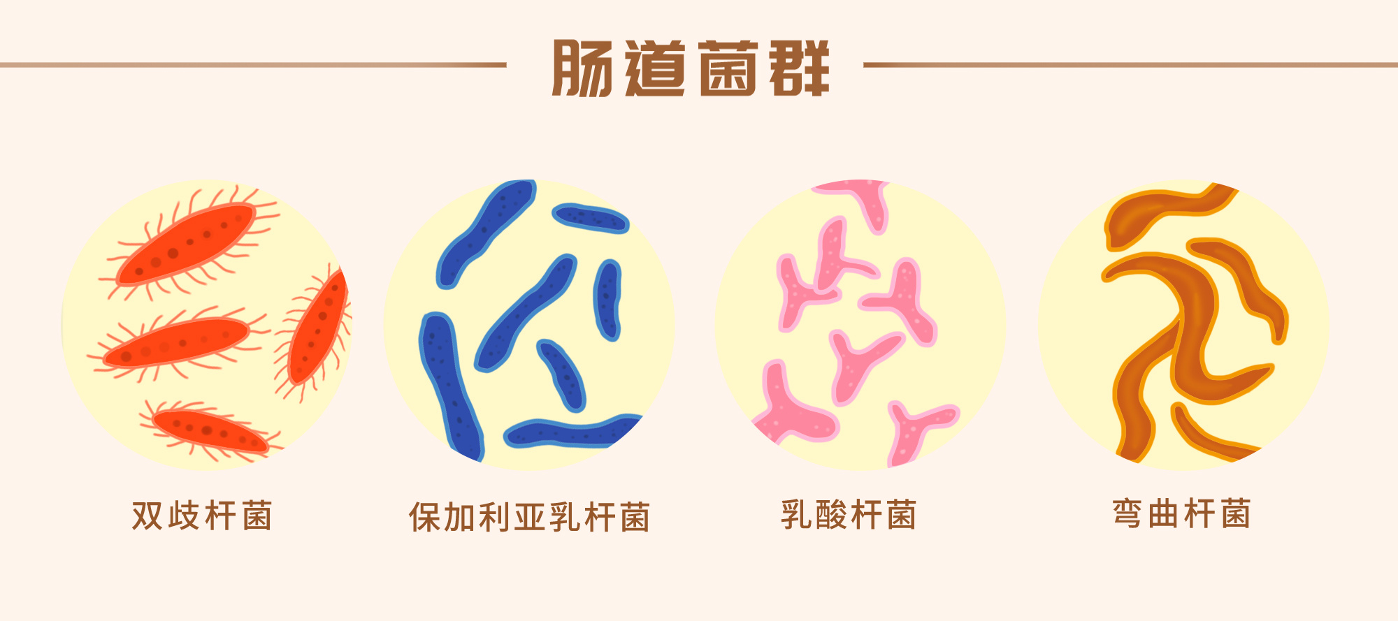 1755909894481006.jpg 1755909894481006.jpg