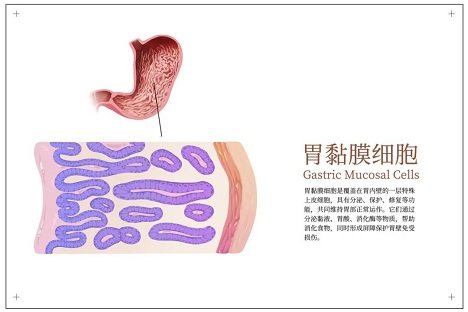 1756339171573402.jpg 微信图片_20250828074431.jpg