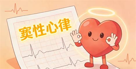 1769061901862543.jpg 12.jpg