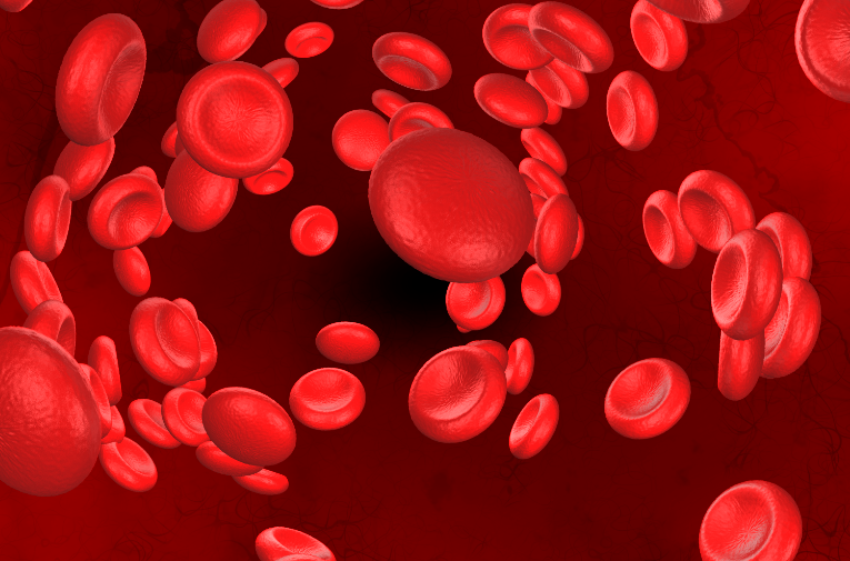 血小板有什么作用?