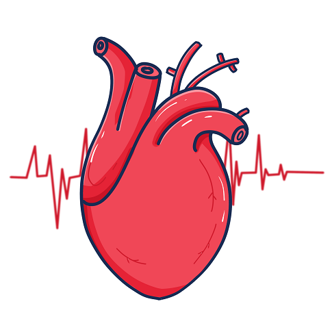 心脏不好的人春季要注意什么得在这4个方面做好保健