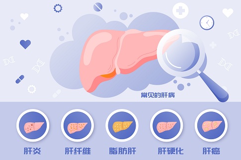 1654703515141074.jpg 摄图网_402142207_全国爱肝日常见肝病矢量插画(企业商用).jpg