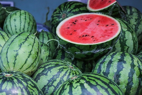 1657209653501685.jpg 摄图网_500471106_banner_夏日西瓜水果(企业商用).jpg