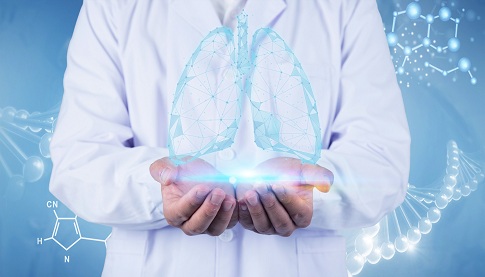 1657899235178876.jpg 摄图网_500686164_banner_医生双手上的肺部(企业商用).jpg