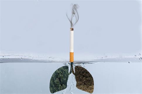 1667345916960239.jpg 摄图网_500448967_banner_吸烟有害健康(非企业商用).jpg