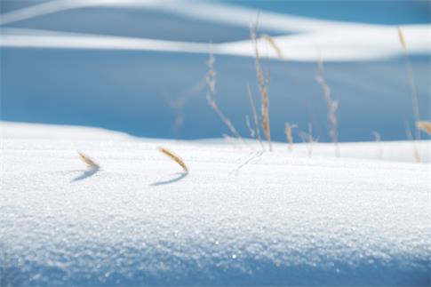 ͼ_500408605_banner_ѩëëݣҵã.jpg