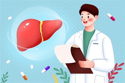 1676417865665467.jpg 摄图网_402143031_banner_医生和肝脏插画(企业商用).jpg