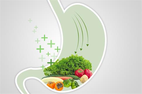 1735260598871367.jpg 摄图网_500850486_banner_ 绿色蔬菜健康胃部饮食(企业商用).jpg